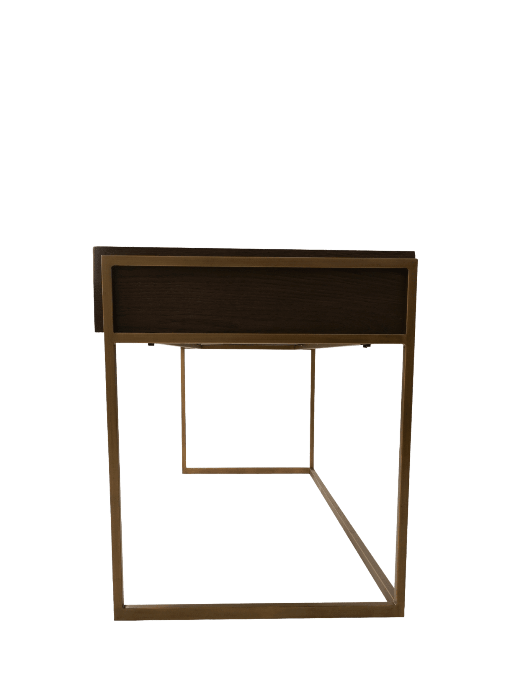 Jorge Desk Console Table, Brown / Brass