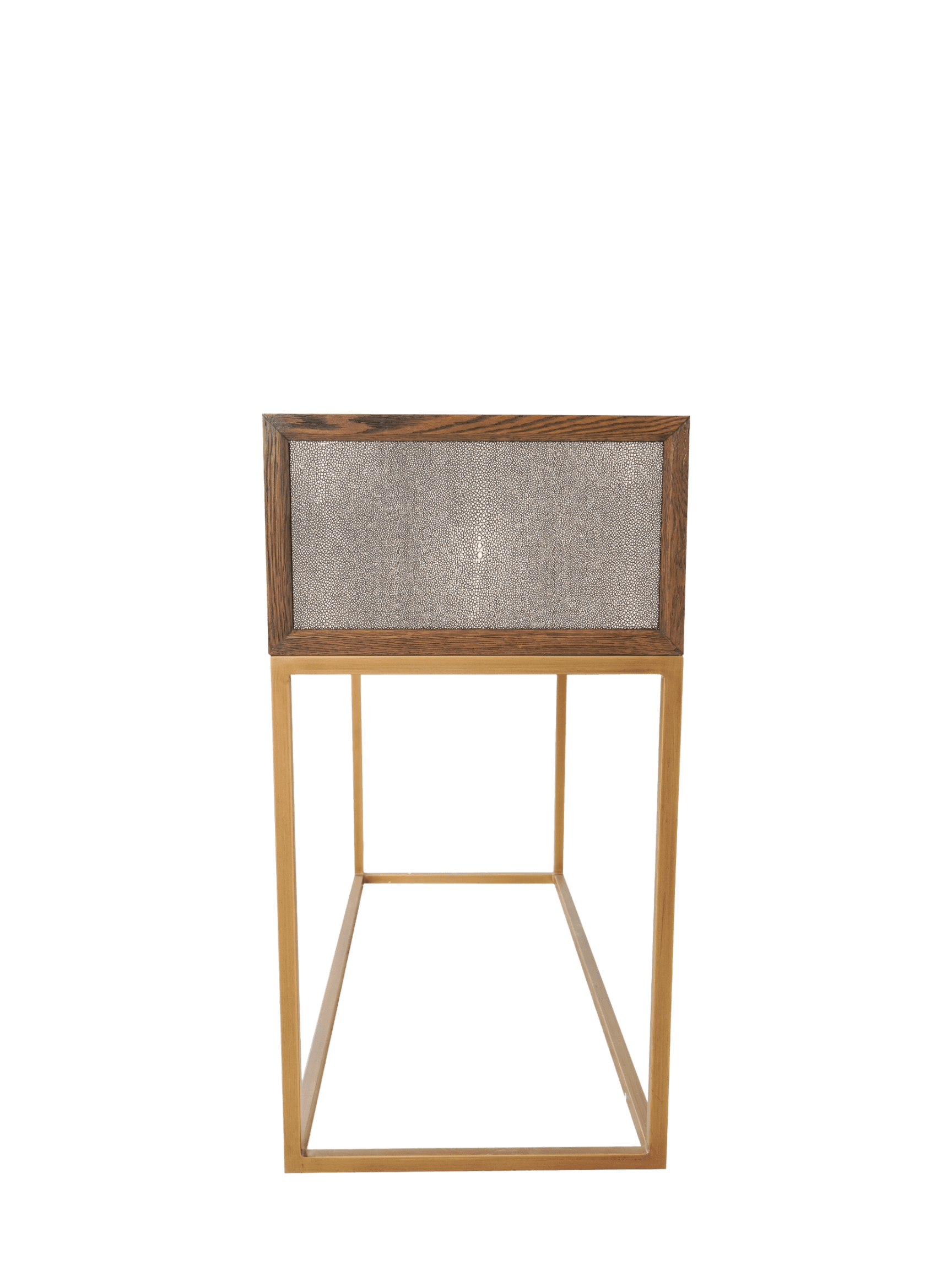 Jorge 2 Drawer Console Table Shagreen / Brown / Brass