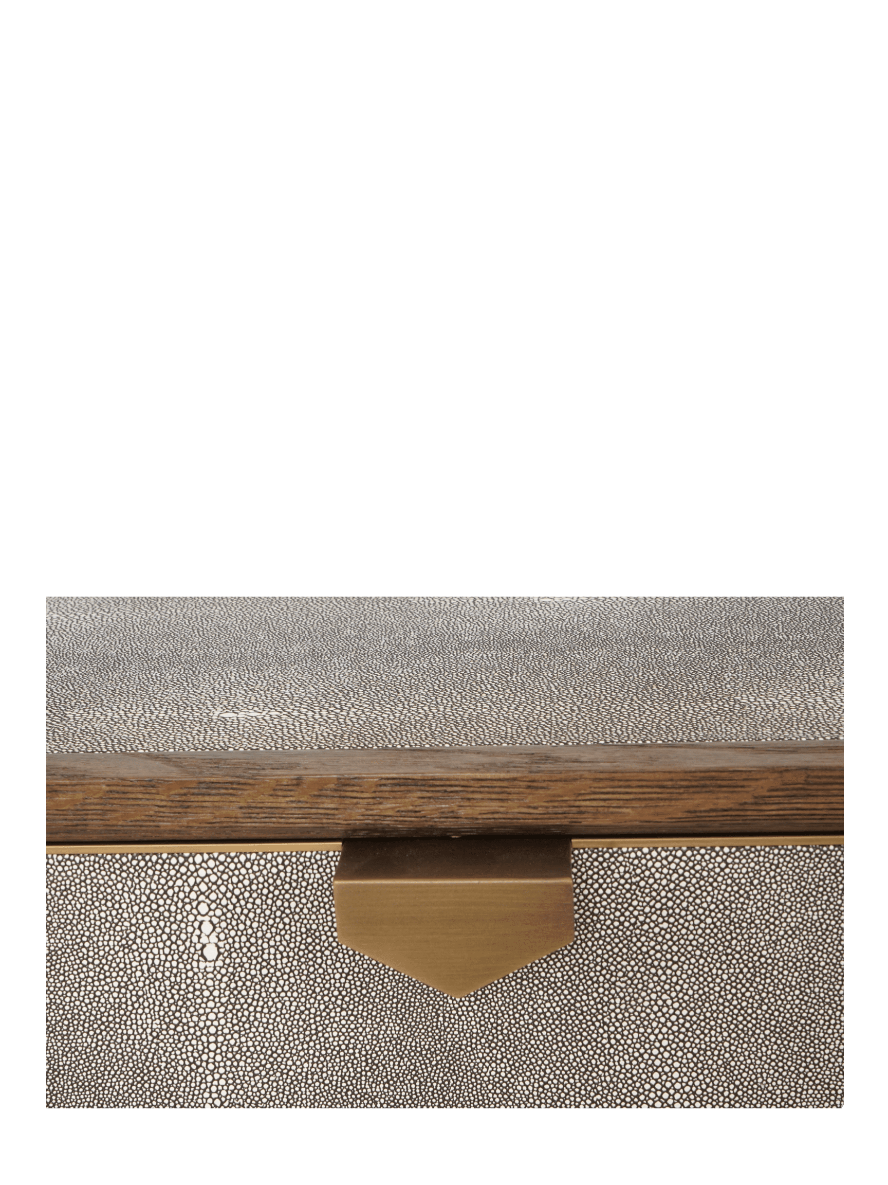 Jorge 2 Drawer Console Table Shagreen / Brown / Brass