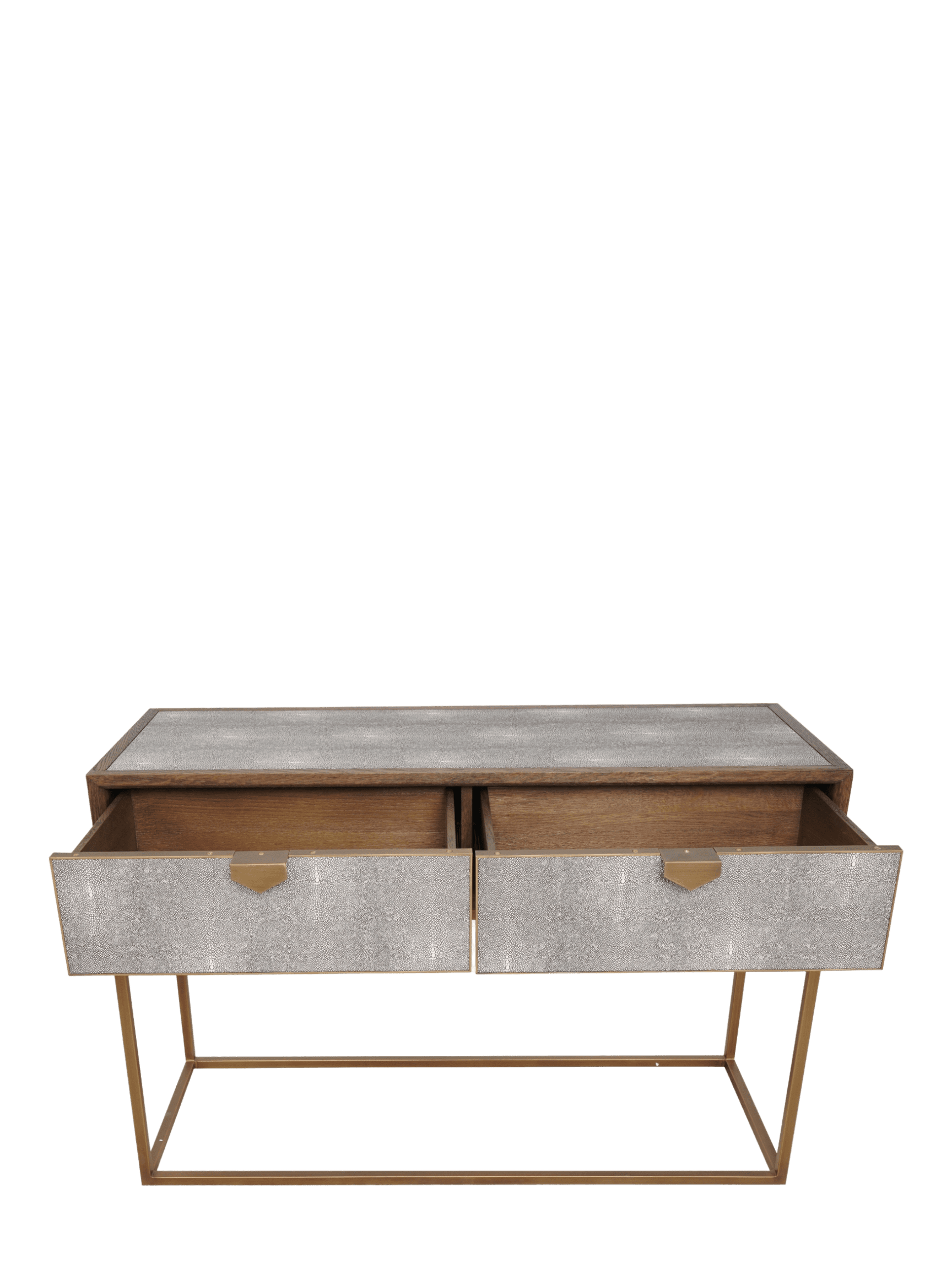 Jorge 2 Drawer Console Table Shagreen / Brown / Brass