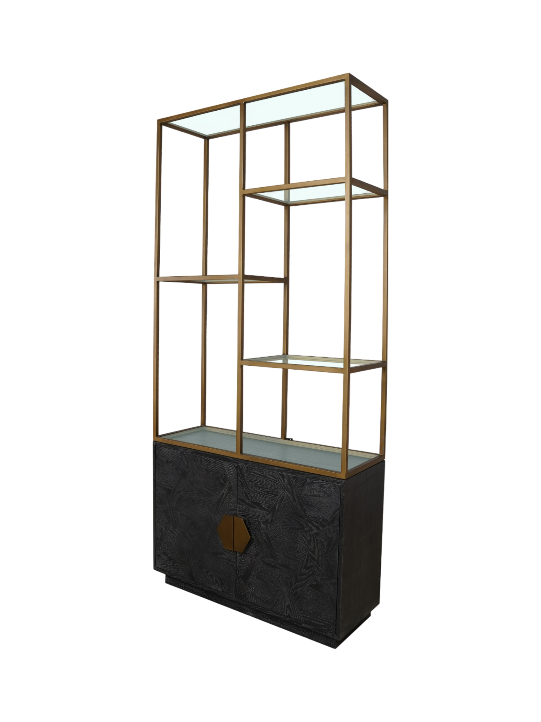 Jorge 2 Door Bookcase Black / Brass With Glass Shelf