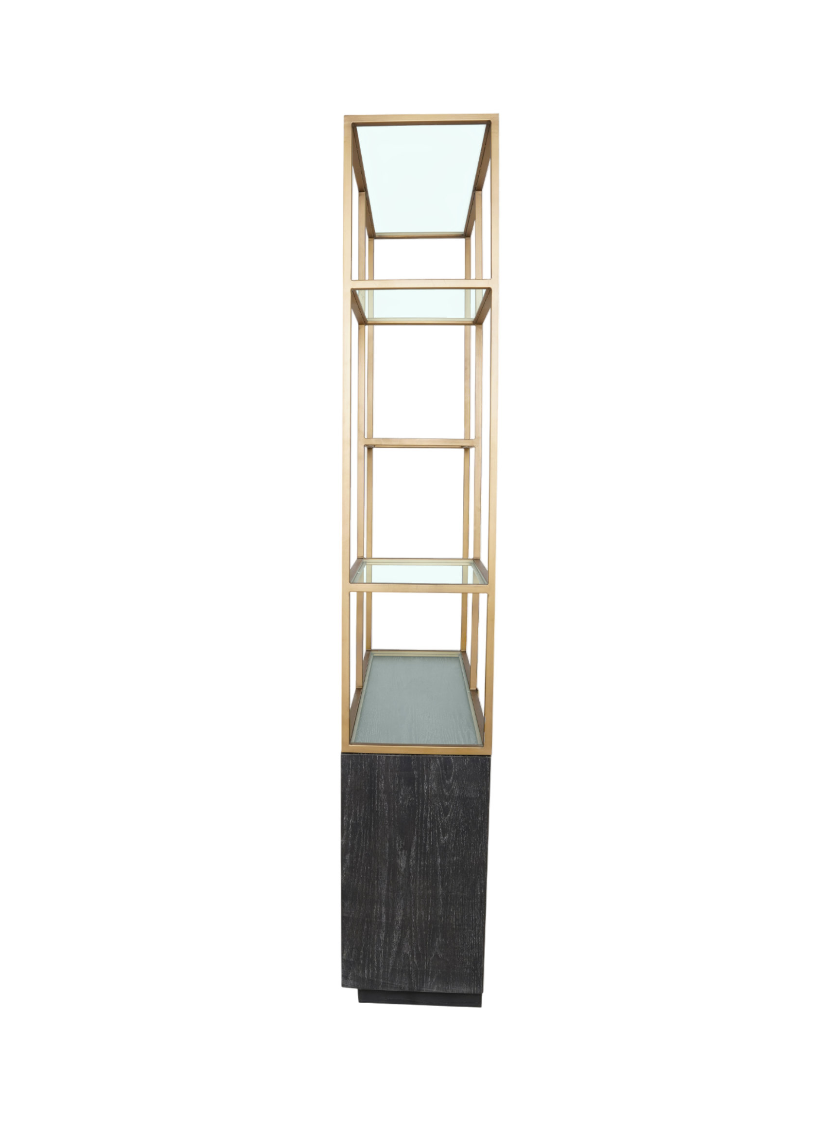 Jorge 2 Door Bookcase Black / Brass With Glass Shelf