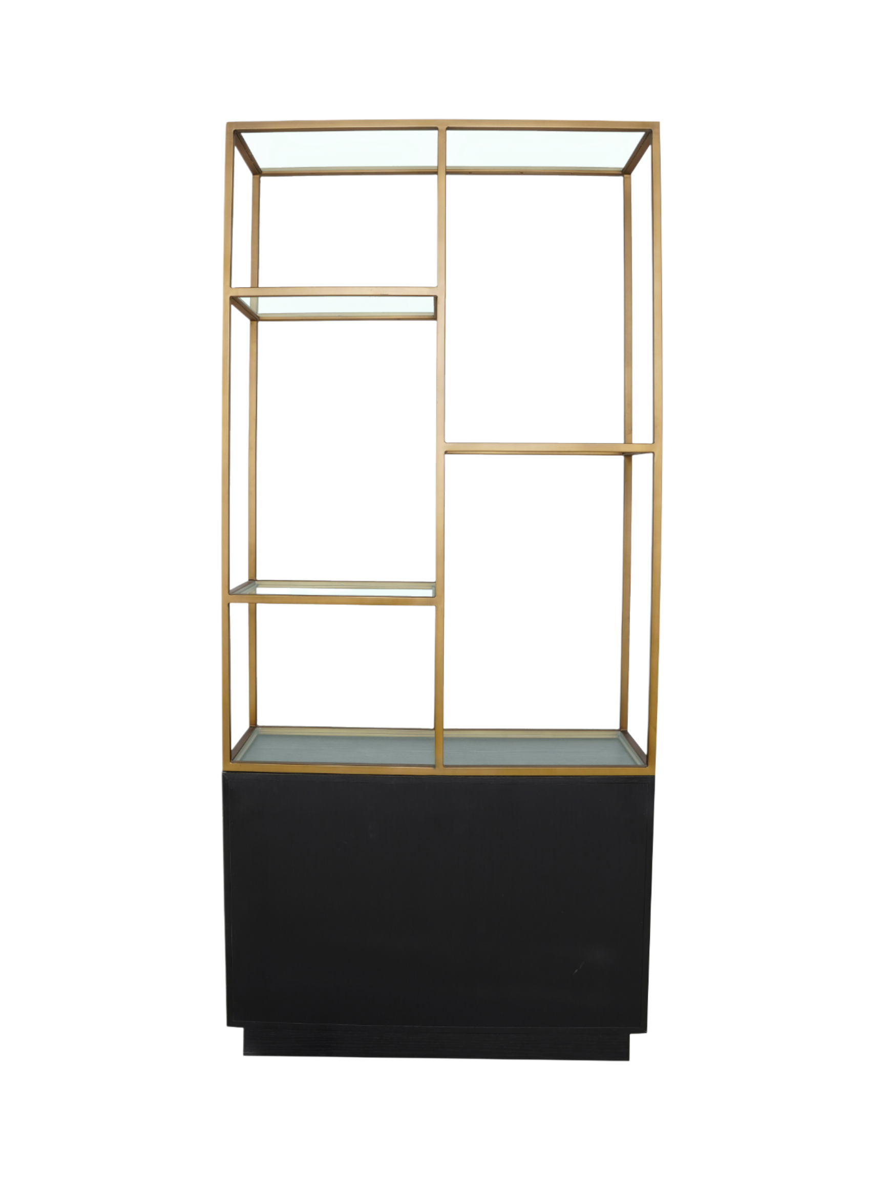 Jorge 2 Door Bookcase Black / Brass With Glass Shelf